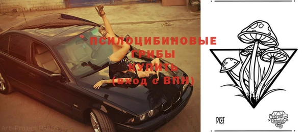 ECSTASY Алексин